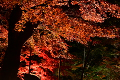 最上山もみじ祭り　兵庫県宍粟市