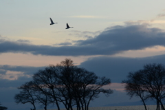 奥びわ湖　冬の風景