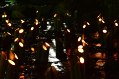 京都市　東山花灯路　２０１７