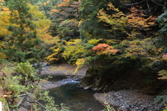 和歌山県湯川渓谷