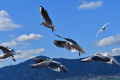 びわ湖　さざなみ街道