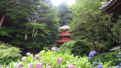 京都府　岩船寺