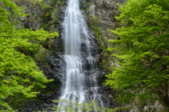 兵庫県養父市　天滝