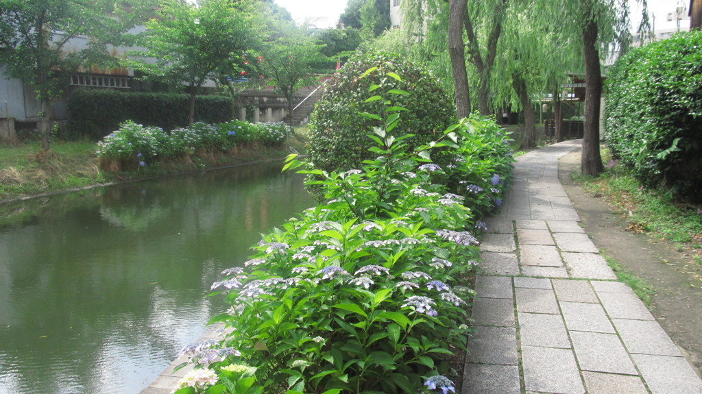 京都府　伏見界隈