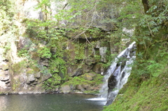 三重県　赤目渓谷