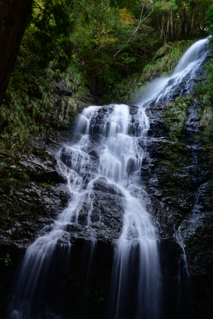 播州の瀧　佐用町久崎　飛龍の滝