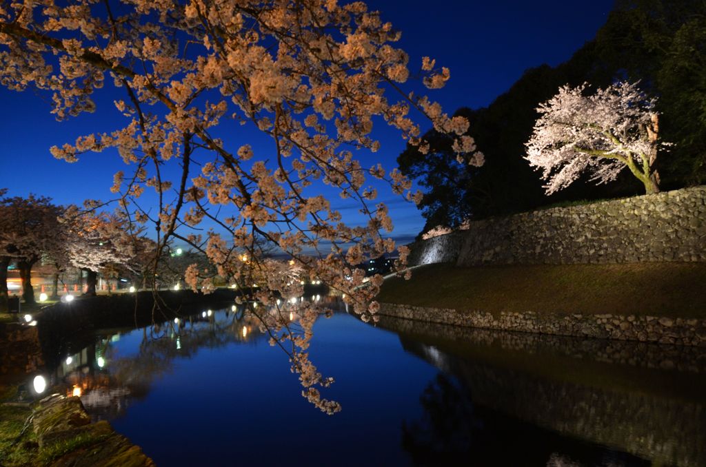 滋賀県　彦根城