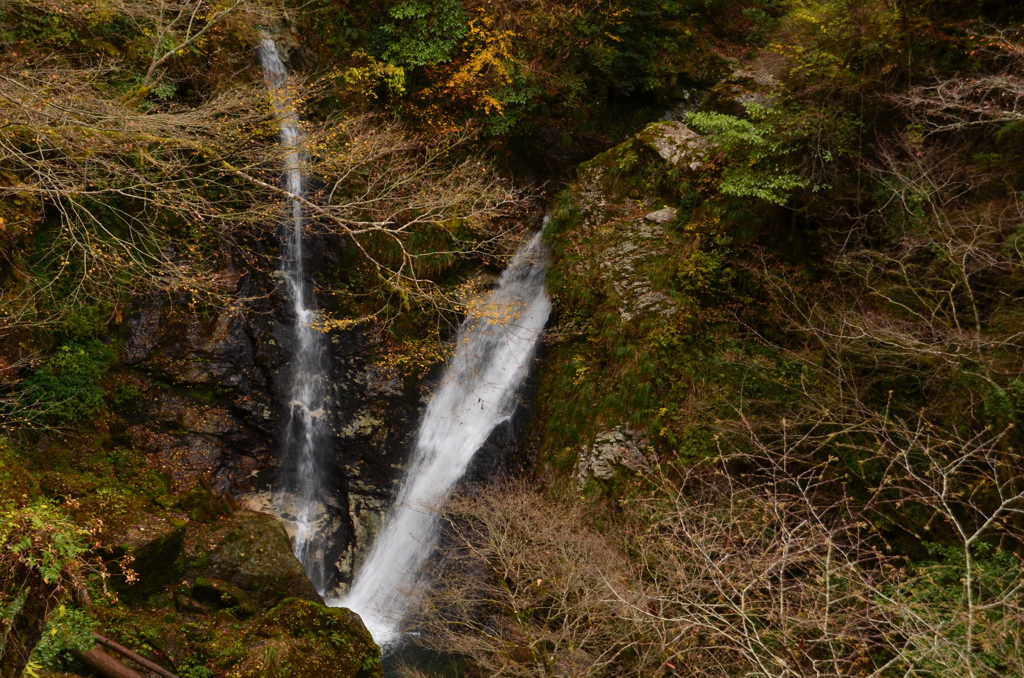 兵庫県　波賀　原不動滝