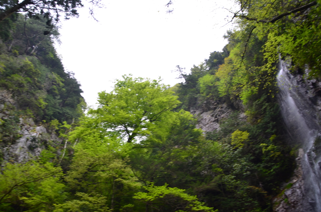奈良県　　御船の滝