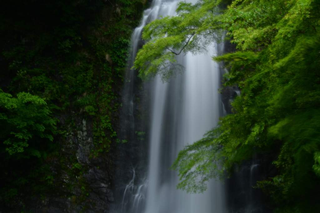 五月雨の箕面大滝