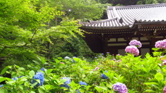 京都府　岩船寺