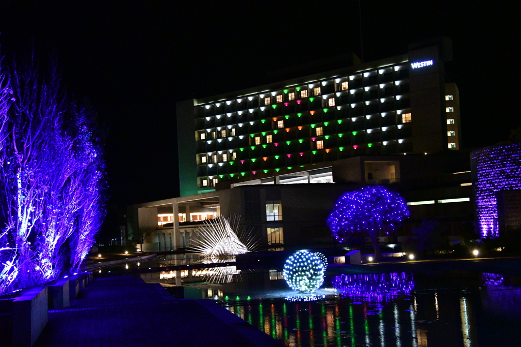 淡路島　奇蹟の星の植物館　X`MAS