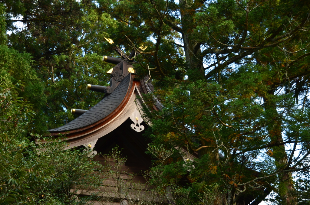 奈良県　天川　天河神社