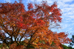 京都府綾部市　山家城址公園