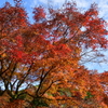 京都府綾部市　山家城址公園