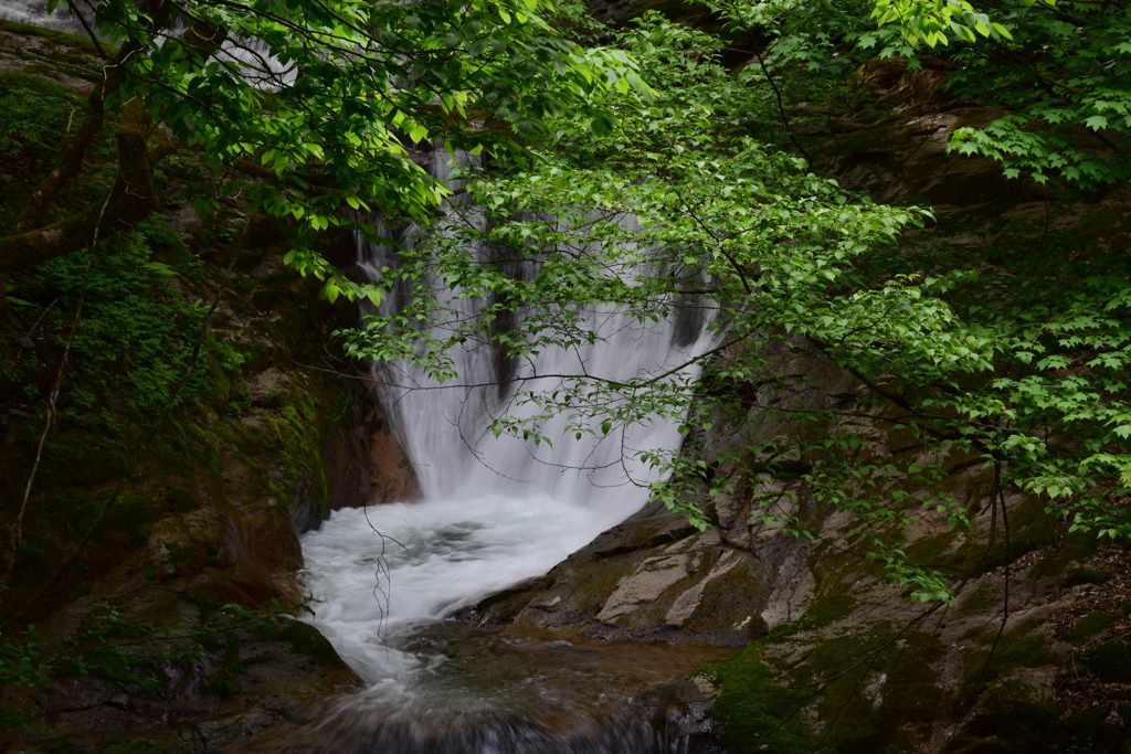 兵庫県養父市横行渓谷　一の渡り瀧　２０１７