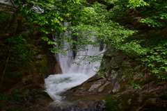 兵庫県養父市横行渓谷　一の渡り瀧　２０１７