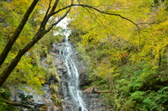 岡山県　鏡野の滝