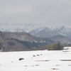 岡山県　蒜山高原