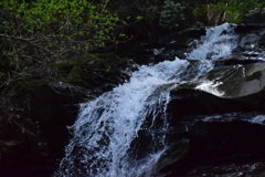 波賀　東山親水公園　妙水の滝落差１５米２０１７