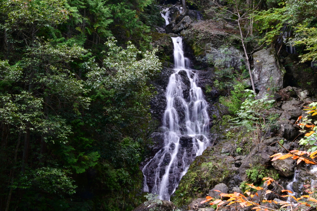 播州の瀧　相生市小河　北峰の瀧