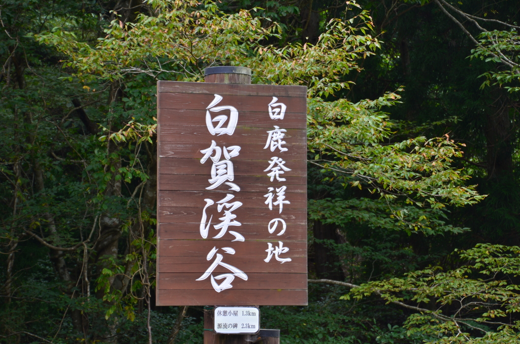 岡山県鏡野　白賀渓谷