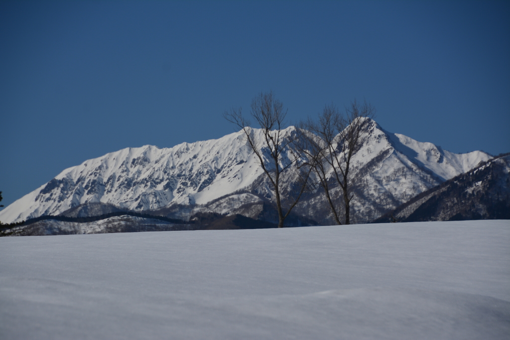 伯耆大山　２０１７年２月