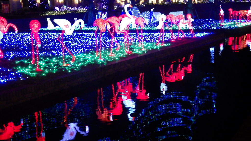 兵庫県　神戸イルミナージュ