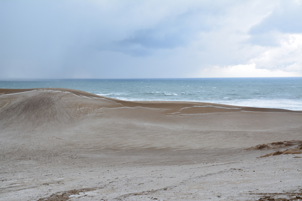 冬の鳥取砂丘