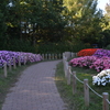 奈良県　馬見丘陵公園