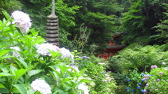 京都府　岩船寺