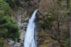 兵庫県　波賀　原不動滝