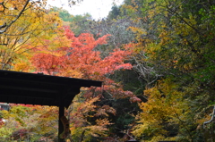 兵庫県　武田尾温泉