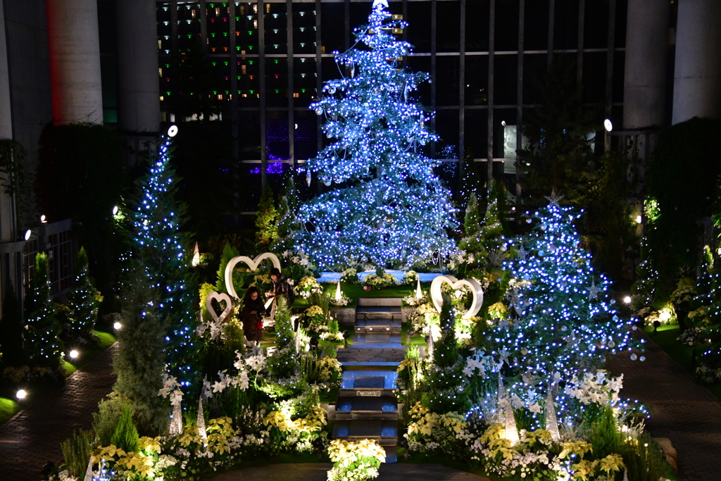 淡路島　奇蹟の星の植物館　X`MAS