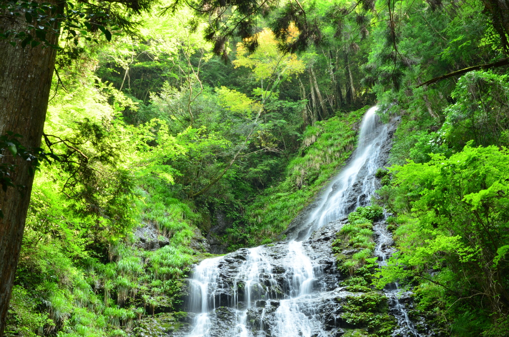 兵庫県　飛龍の滝