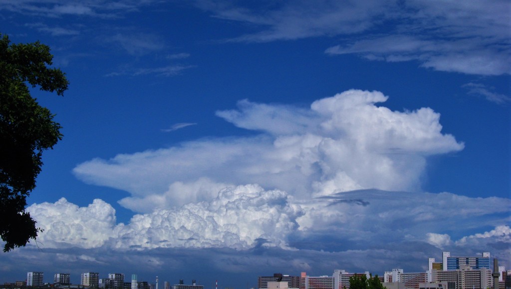 夏の空