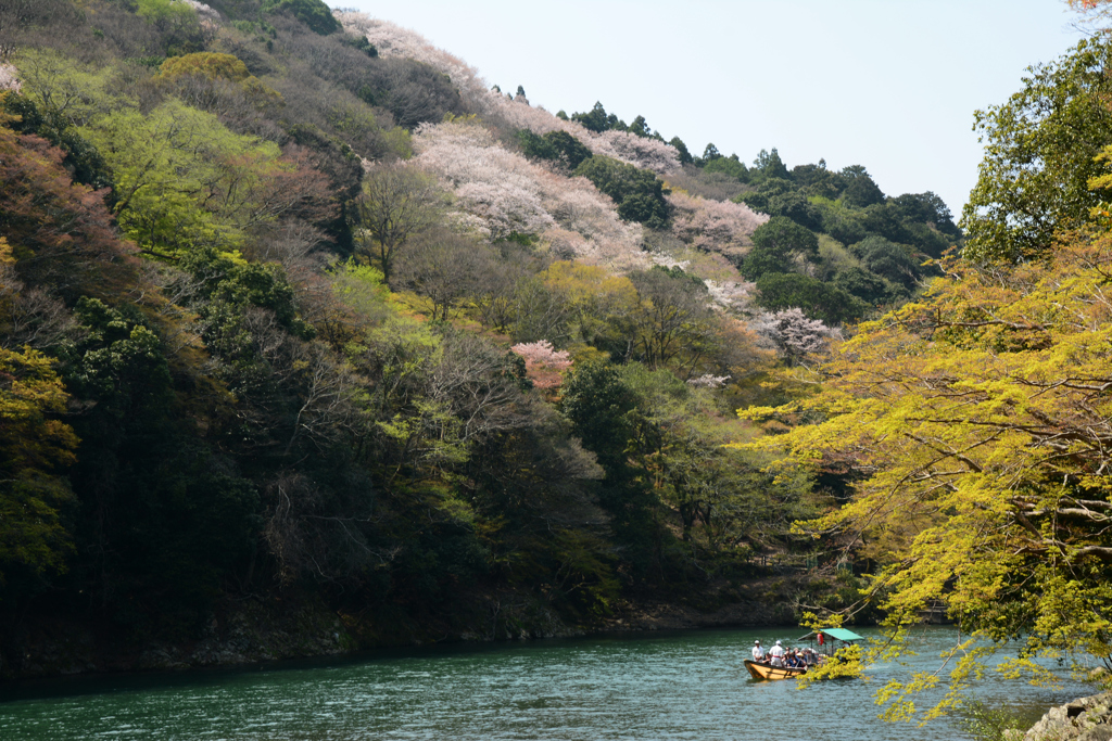 古都の春　嵐山