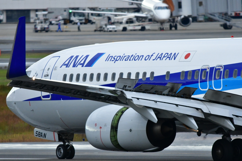 ANA　伊丹空港
