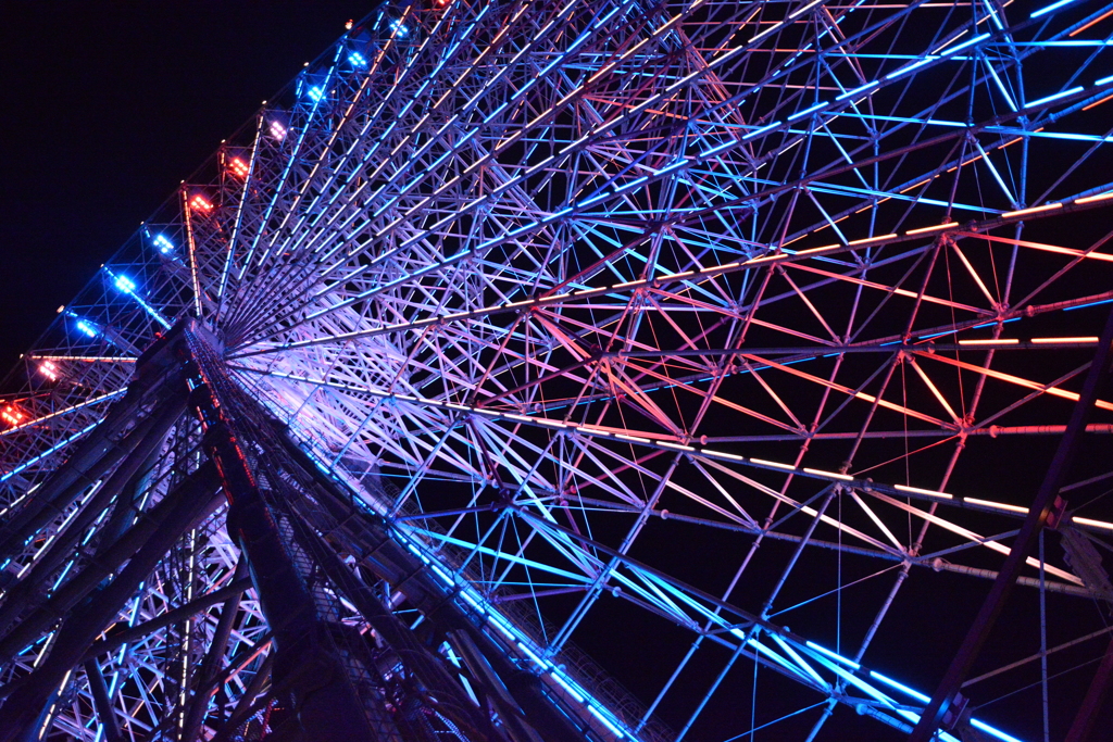 大阪　海遊館２０１７