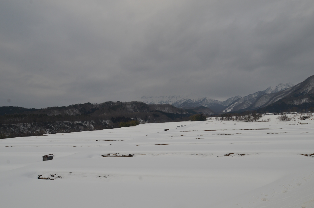 岡山県　蒜山高原