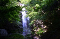 三重県伊賀上野　白藤の滝