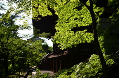 京都府　　古都散策