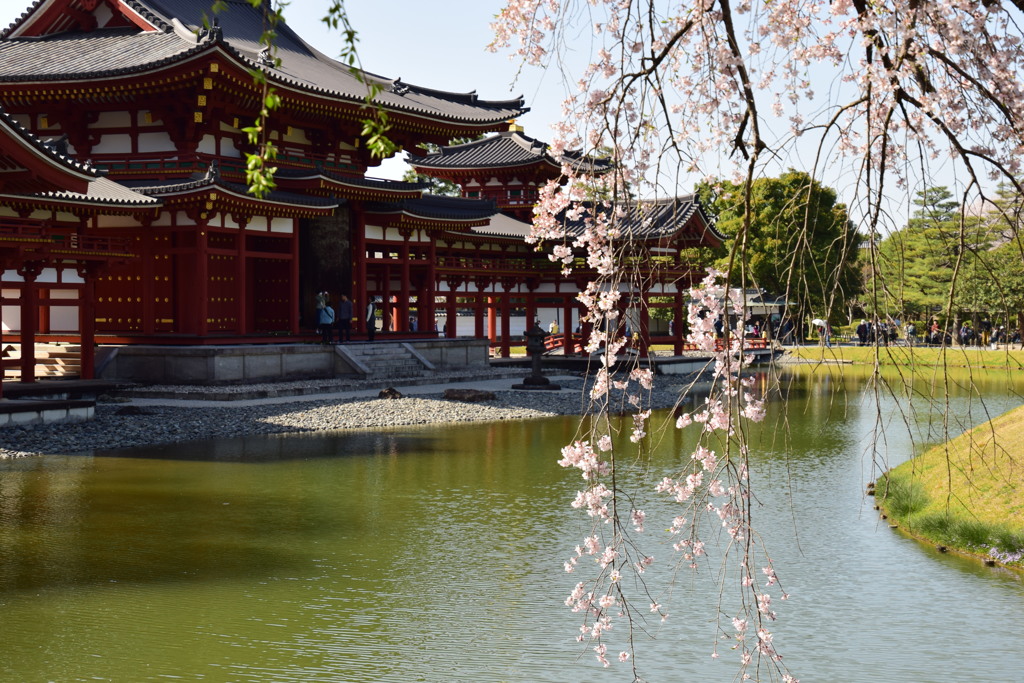 藤原氏の栄華　平等院