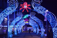 大阪　海遊館２０１７