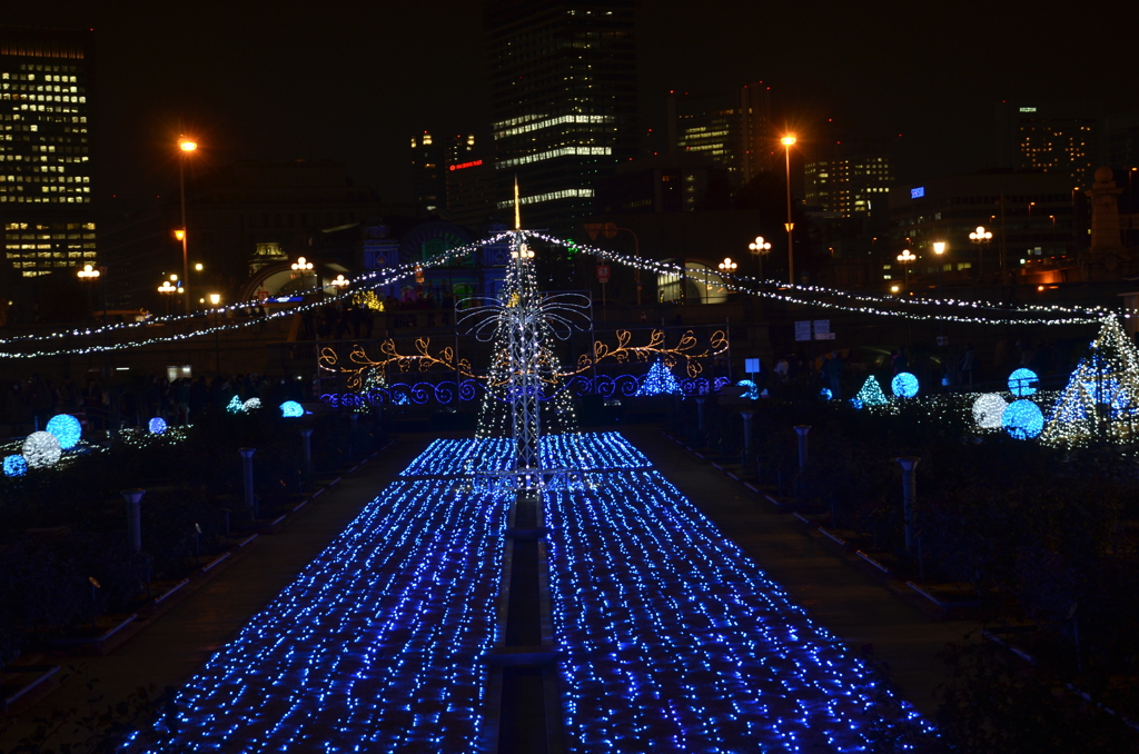 大阪府　中之島公園   夜景