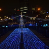 大阪府　中之島公園   夜景