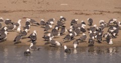 丹後半島　うみどり