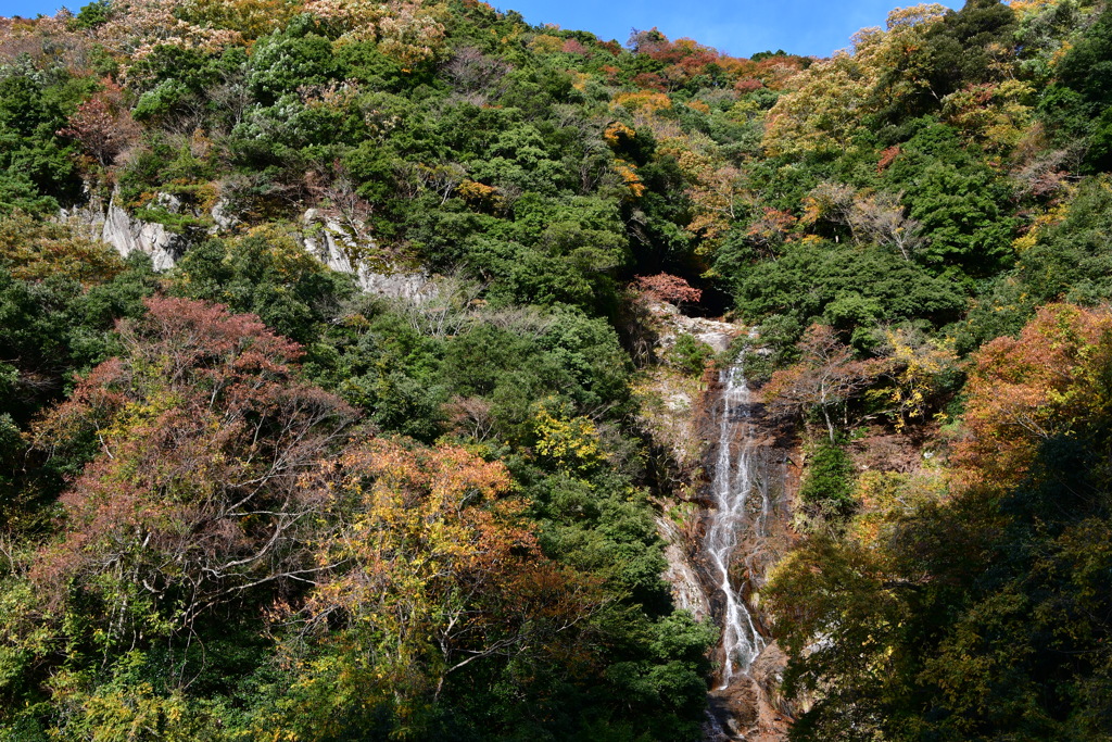 京丹後市久美浜　無明の瀧