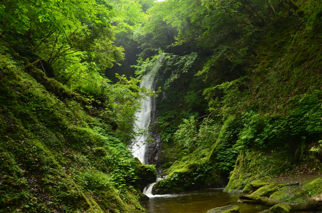 福井県　野鹿の滝
