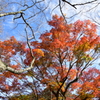 京都府綾部市　山家城址公園